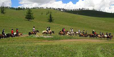 テレルジ国立公園・グンジン寺院への乗馬ツアー
