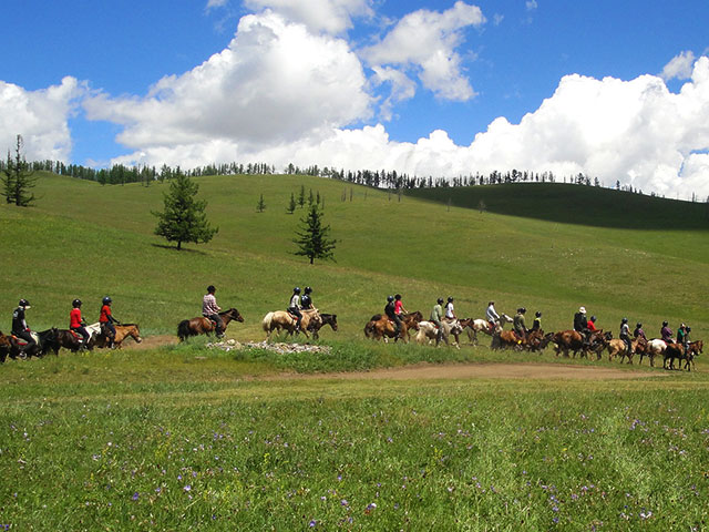 Read more about the article Horse Riding Tour