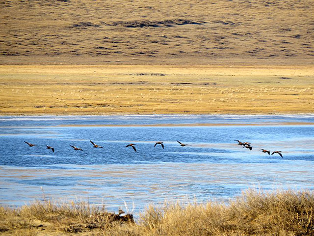 Read more about the article Bird watching tour