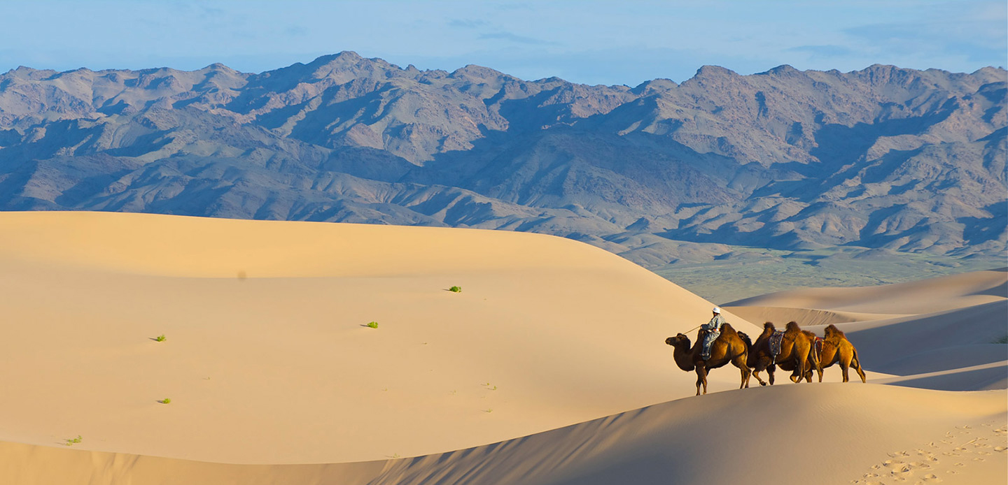 56ac2149c5eb4603907f2f0f6b05a5f3